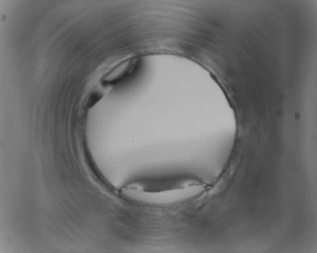 X0000067390193200604281851