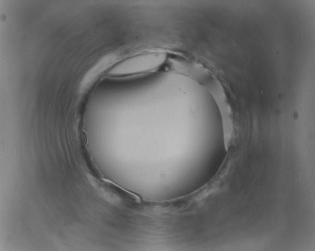 X0000067390197200604281851