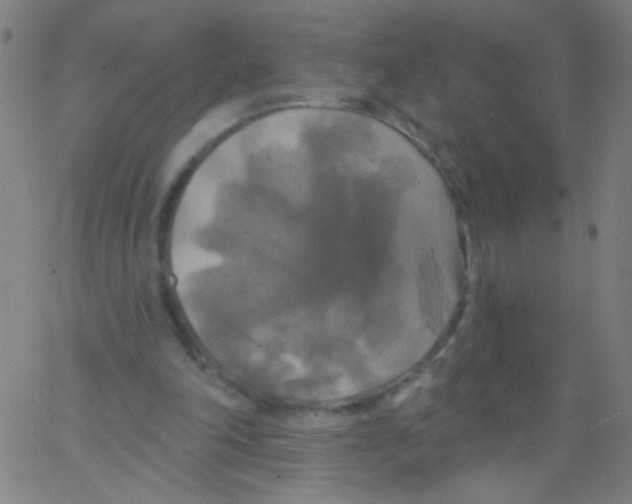 X0000067390198200604281851