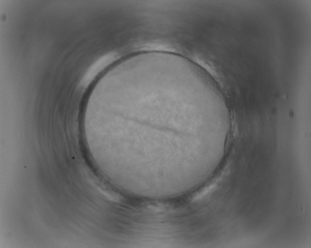 X0000067390199200604281851