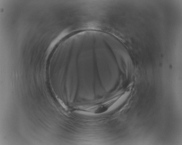 X0000067390200200604281851