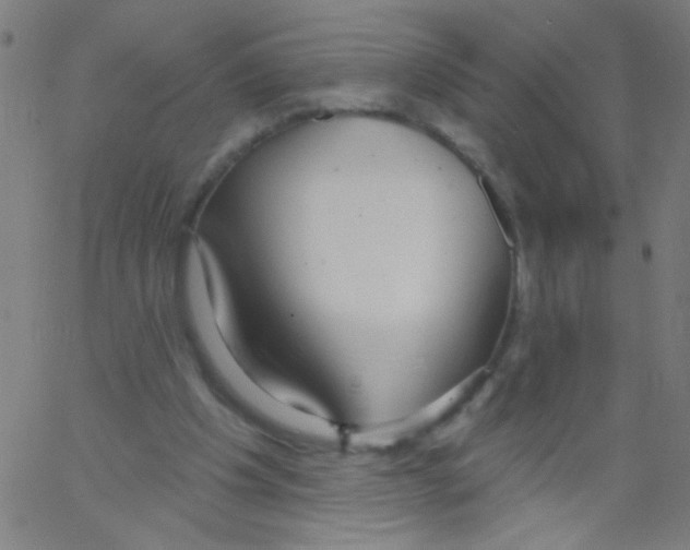 X0000067390201200604281851