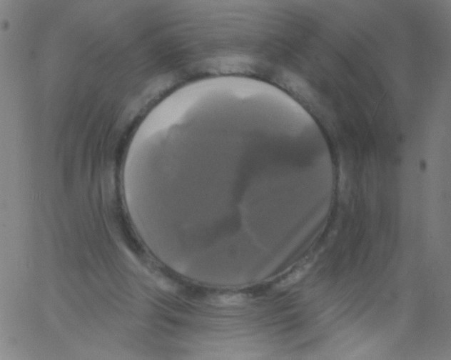 X0000067390202200604281851