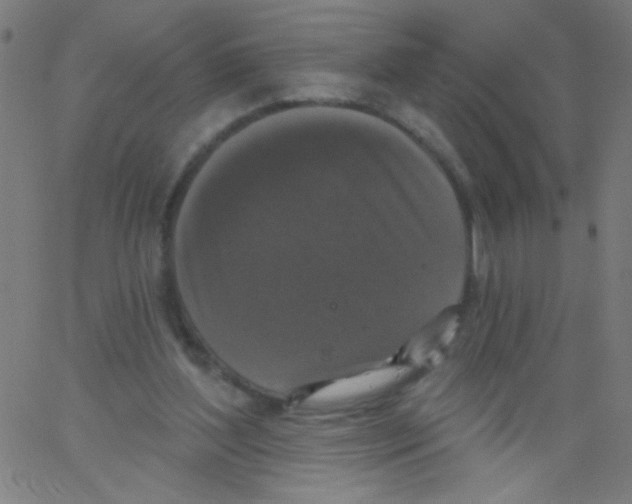 X0000067390204200604281851