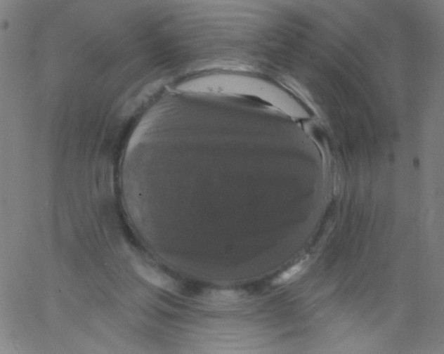 X0000067390205200604281851