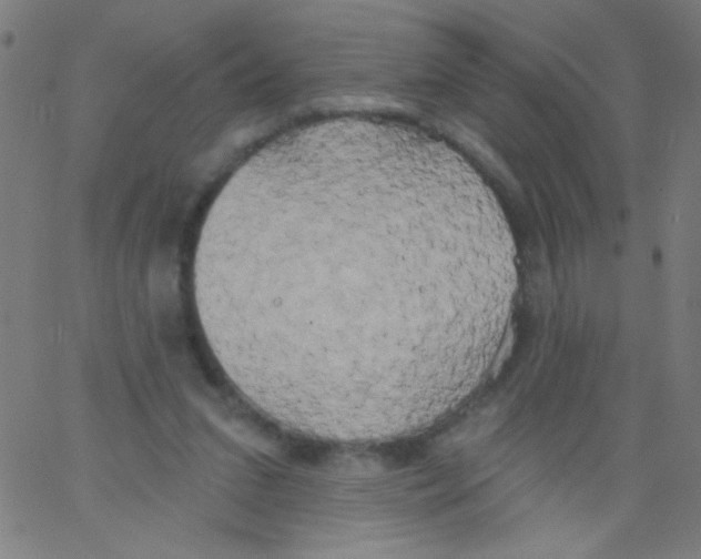 X0000067390207200604281851