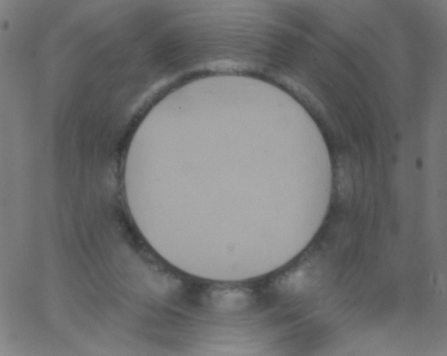 X0000067390208200604281851