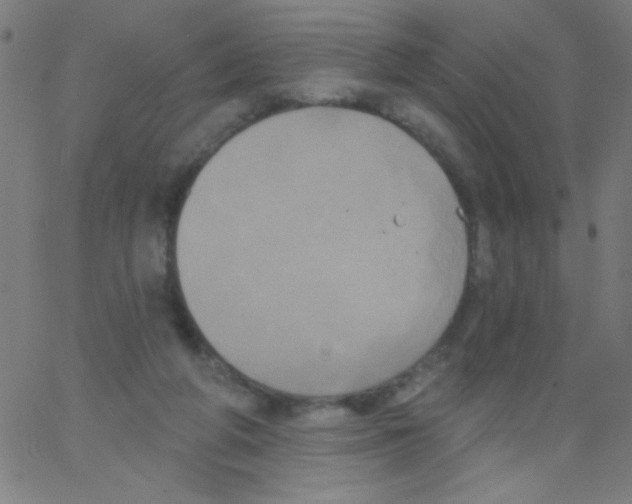 X0000067390210200604281851