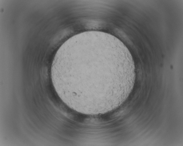 X0000067390211200604281851