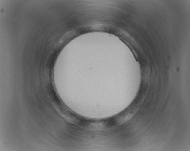 X0000067390213200604281851