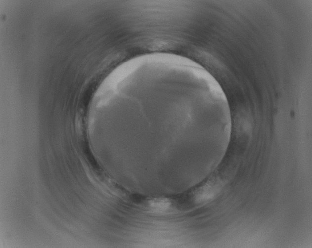 X0000067390214200604281851