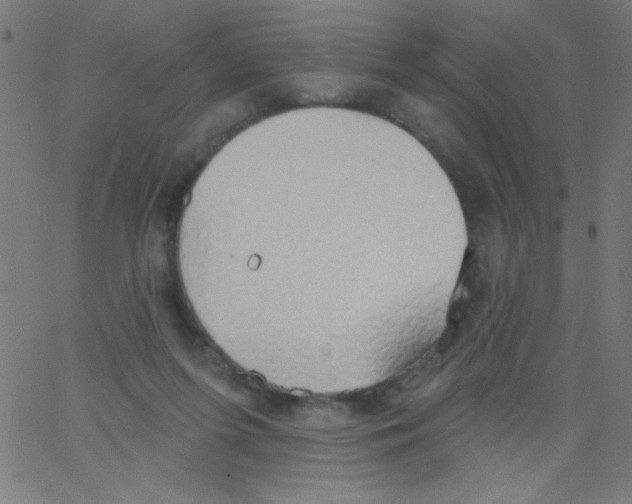 X0000067390215200604281851