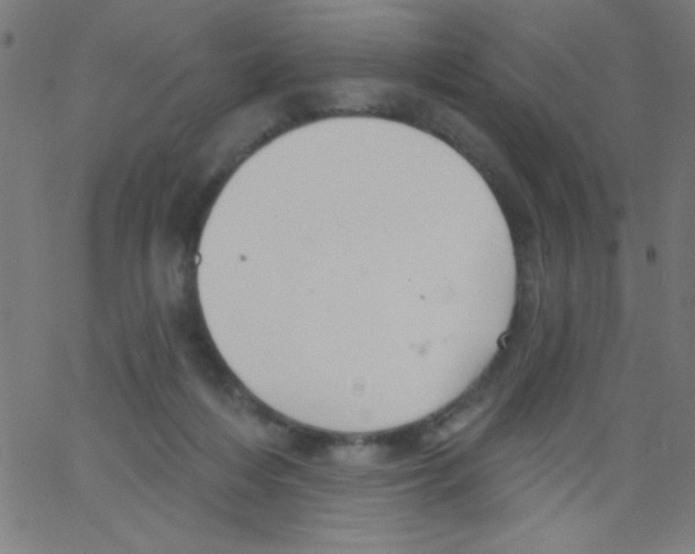 X0000067390216200604281851