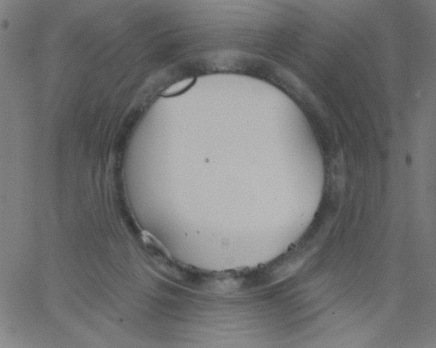 X0000067390217200604281851