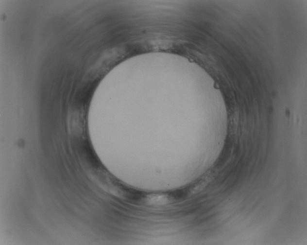 X0000067390218200604281851