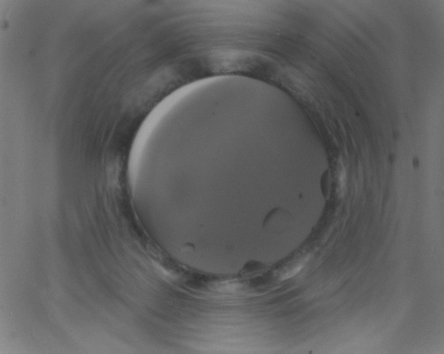 X0000067390219200604281851