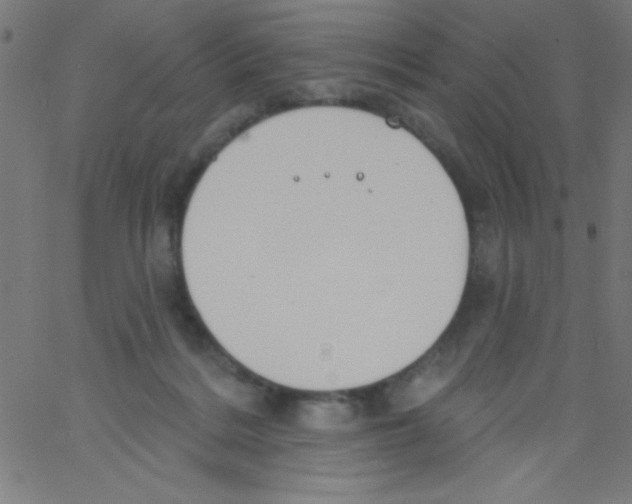 X0000067390220200604281850