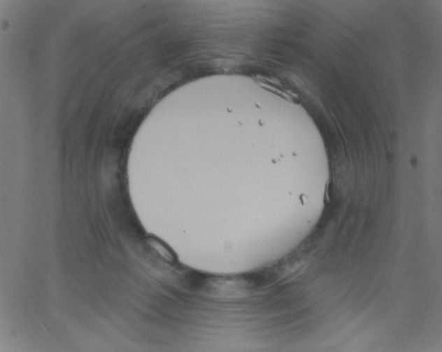 X0000067390221200604281850