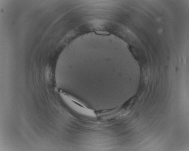 X0000067390223200604281850