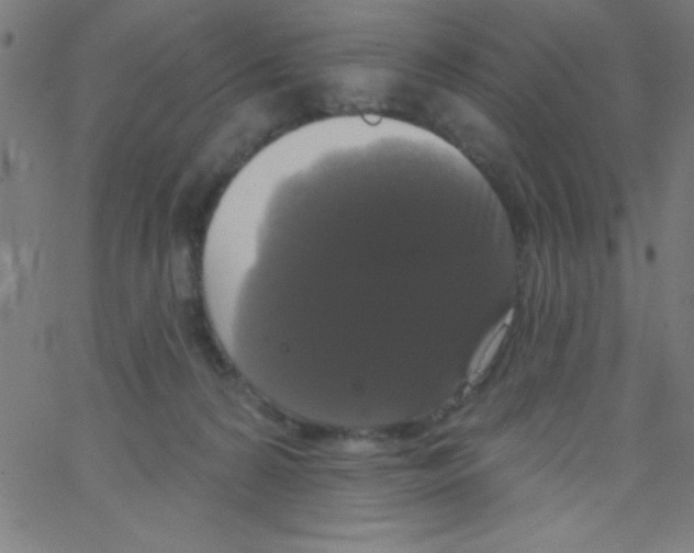 X0000067390224200604281850