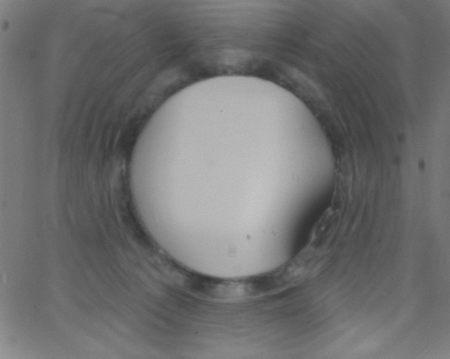 X0000067390225200604281850