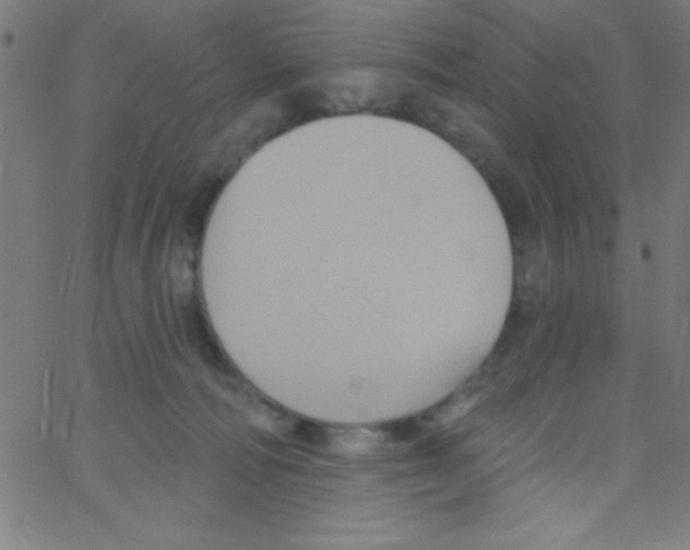 X0000067390226200604281850