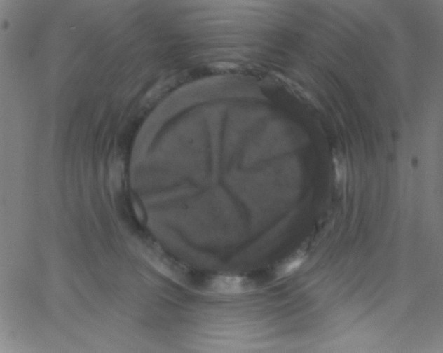 X0000067390227200604281850