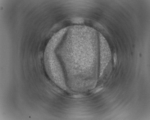 X0000067390229200604281850