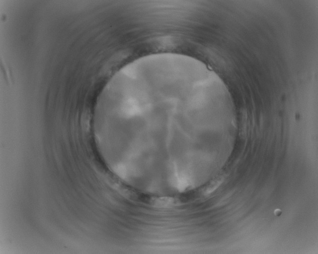 X0000067390230200604281850