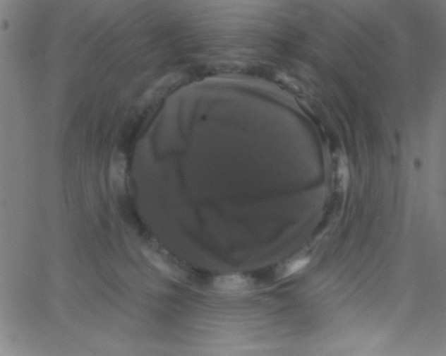 X0000067390231200604281850