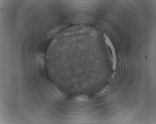 X0000067390232200604281850