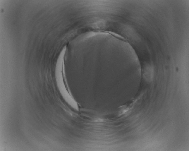 X0000067390233200604281850