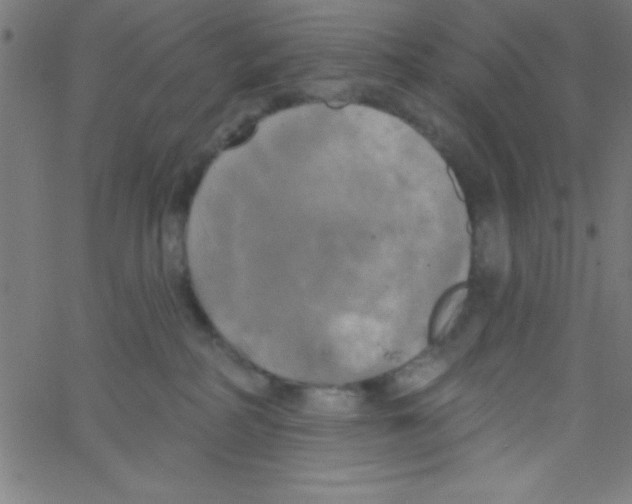 X0000067390234200604281850