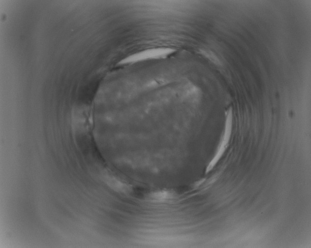 X0000067390237200604281850