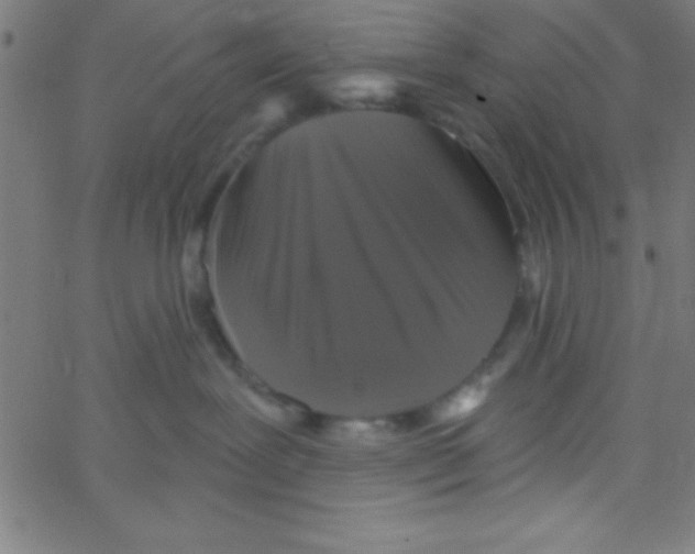 X0000067390239200604281850