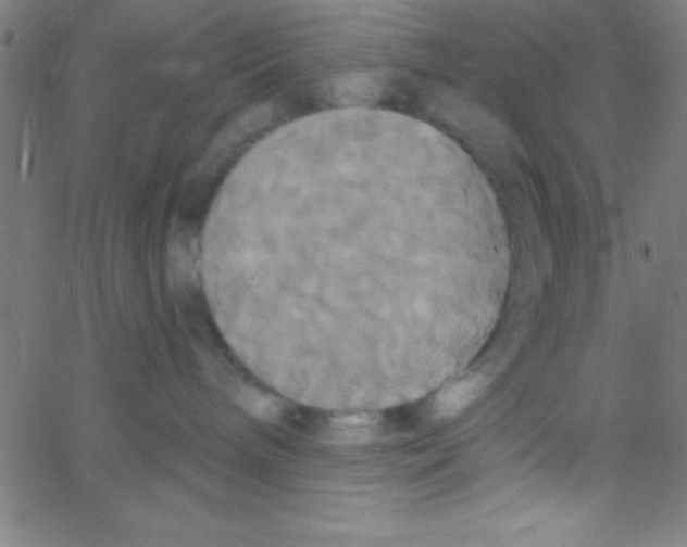 X0000067390240200604281850