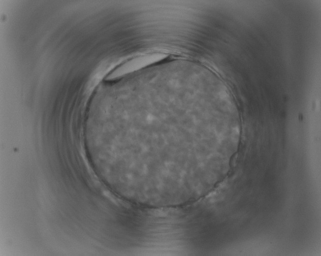 X0000067390241200604281849