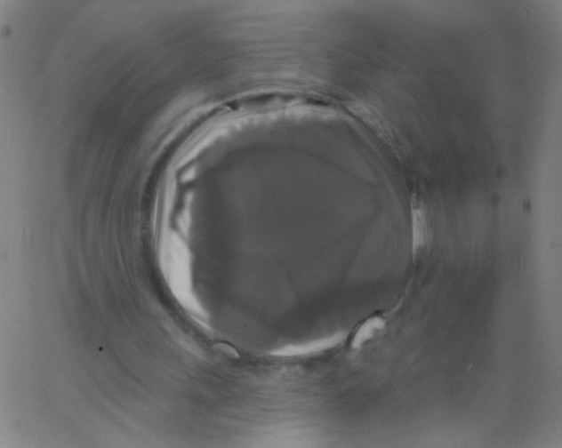 X0000067390243200604281849