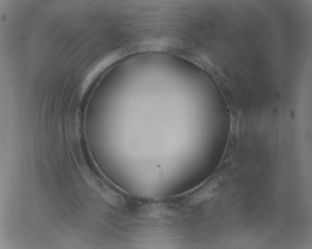 X0000067390244200604281849