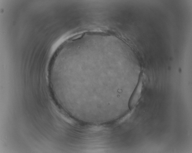 X0000067390246200604281849