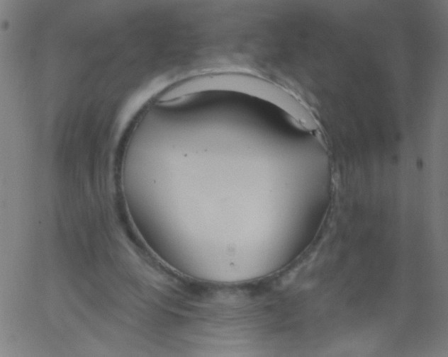 X0000067390248200604281849