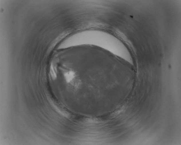 X0000067390250200604281850