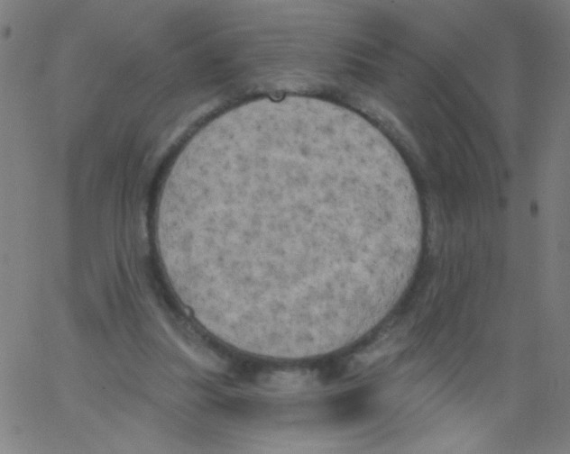 X0000067390251200604281850