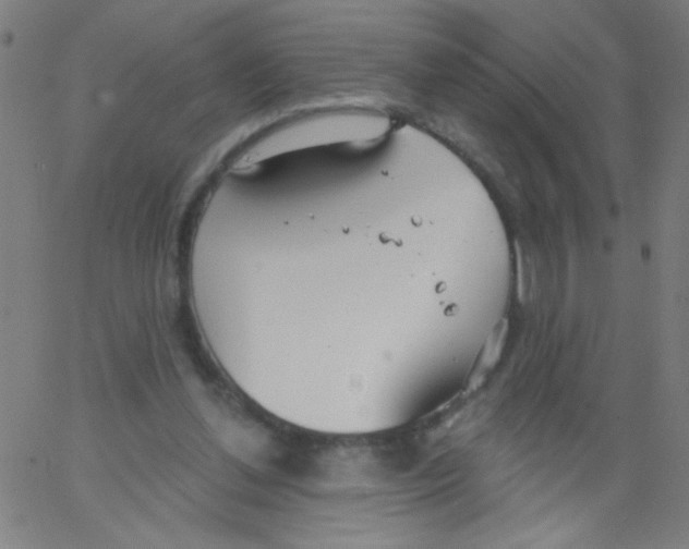 X0000067390252200604281850