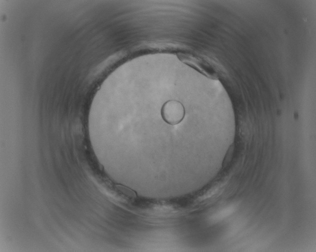 X0000067390256200604281850