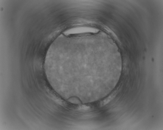 X0000067390257200604281850