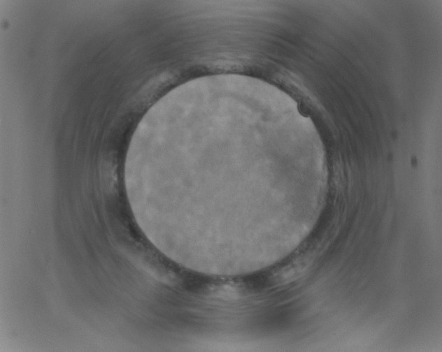 X0000067390259200604281850