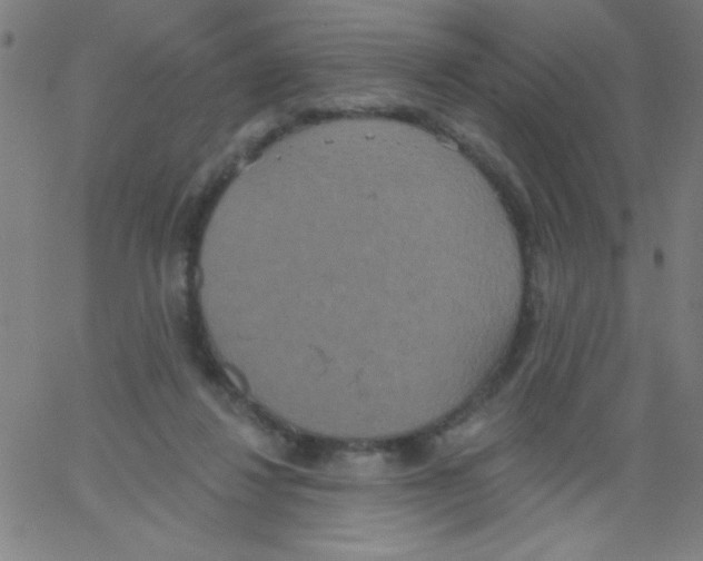 X0000067390260200604281850