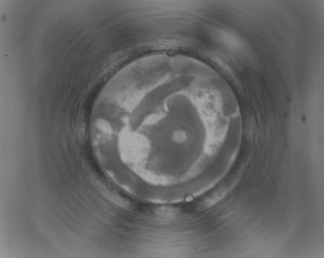 X0000067390261200604281850