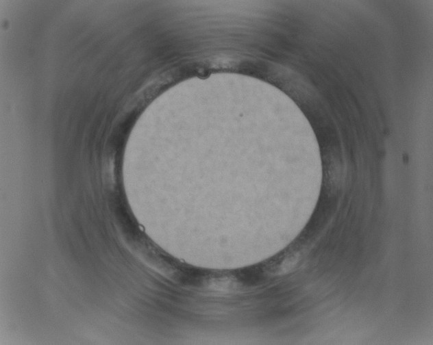 X0000067390262200604281850